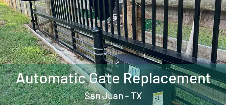  Automatic Gate Replacement San Juan - TX
