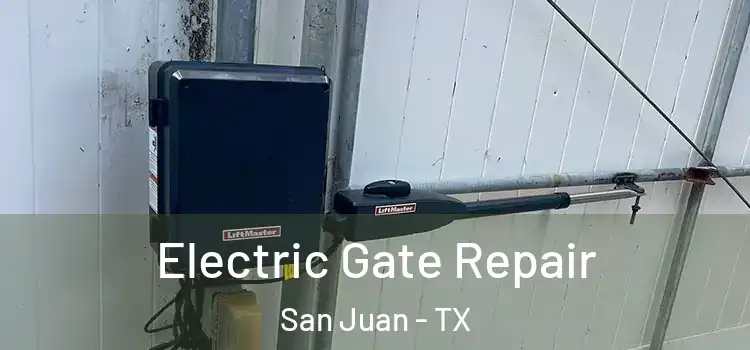  Electric Gate Repair San Juan - TX