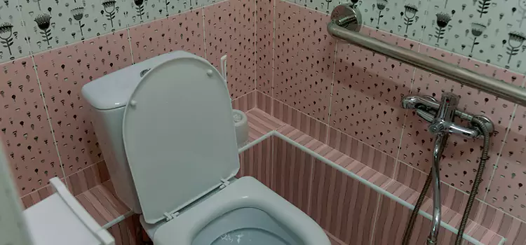 Meeting Diverse Needs With Accessible Restroom Solutions in San Juan, TX